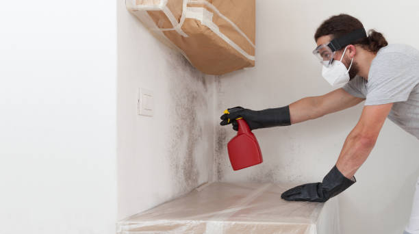 Professional Crawl Space Mold Remediation technician working in Roebling, NJ